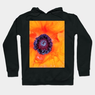 Variation of Light Orange Poppy - Centre of the Flower - Early Spring Blooms Hoodie